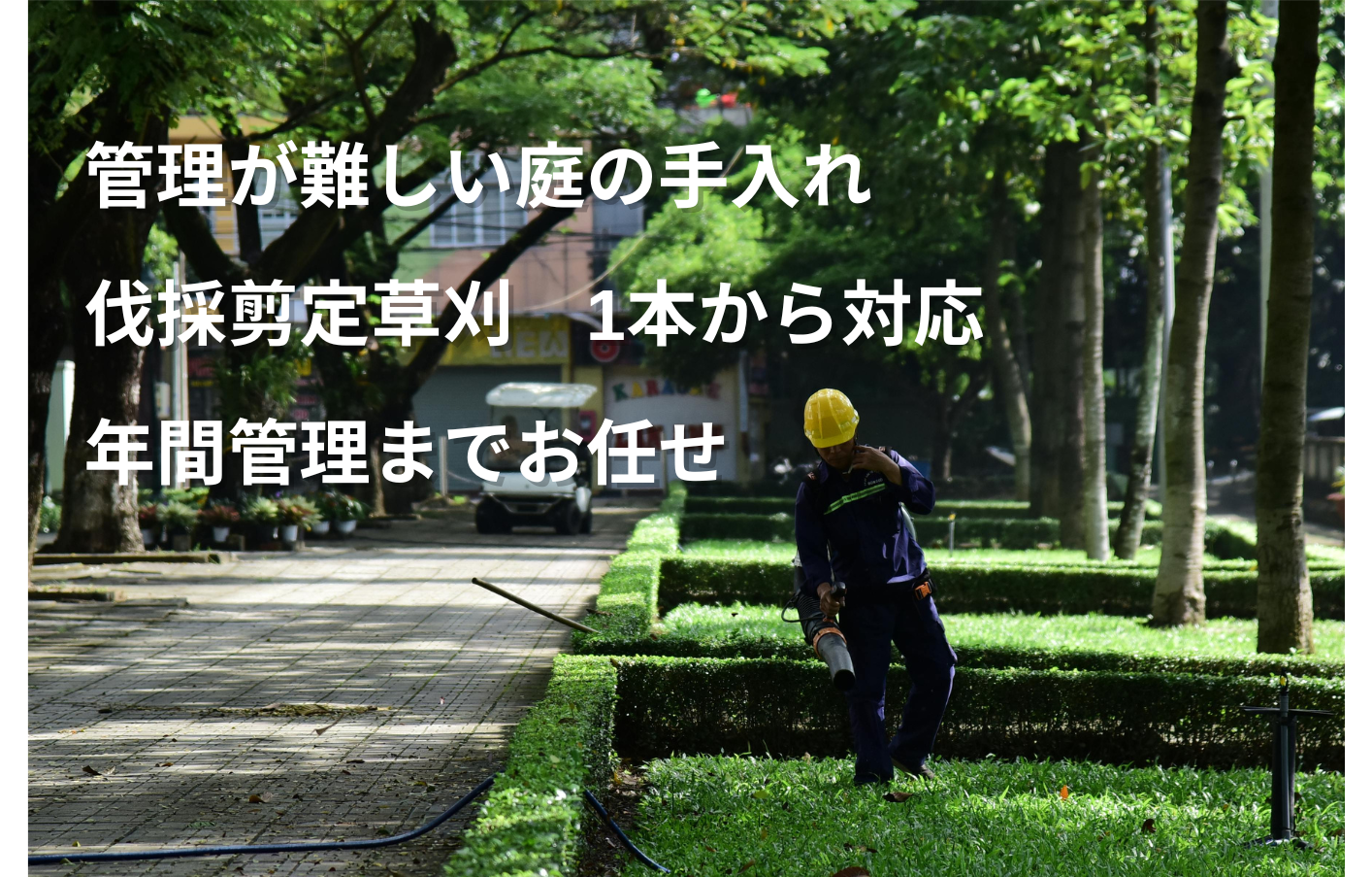 草刈り 剪定 お庭管理 新潟